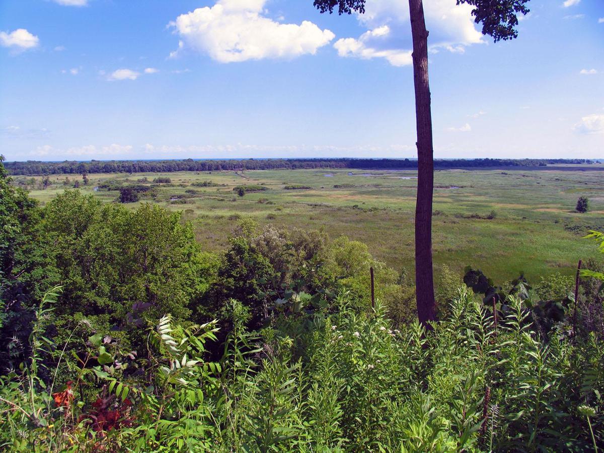 Long Point Eco-Adventures Villa Normandale Екстериор снимка